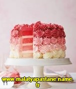 Malatya Adrese teslim ya pasta sat